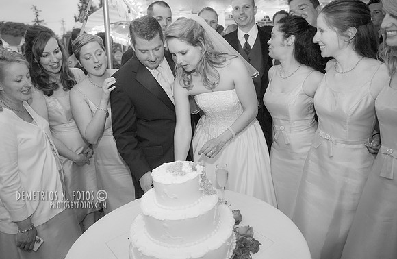 The wedding cake ceremony